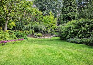 Optimiser l'expérience du jardin à Cantenay-Epinard